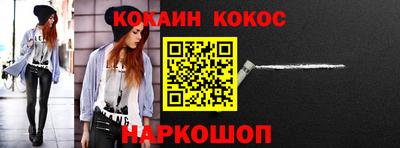 крисы Шебекино
