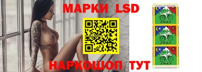 крисы Шебекино