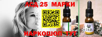 крисы Шебекино