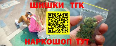 крисы Шебекино