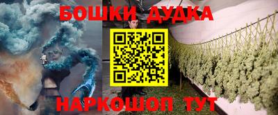 крисы Шебекино
