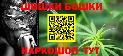 крисы Шебекино