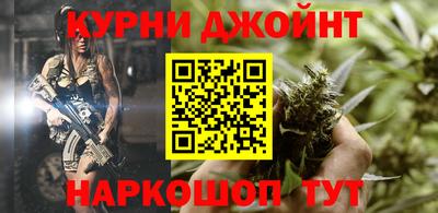 крисы Шебекино