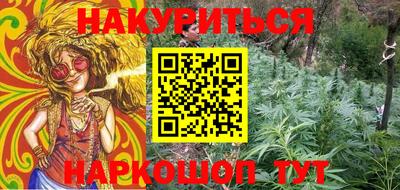 крисы Шебекино