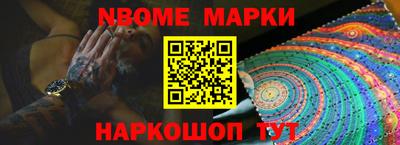 крисы Шебекино